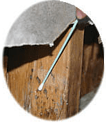 Mold Sampling Swab